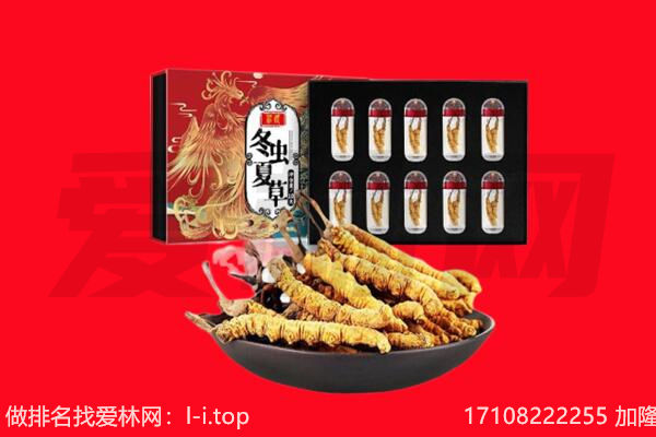 临沧市永德回收虫草.jpg